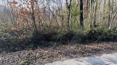 Istra, Labin, veliko građevinsko zemljište s iznimnim investicijskim potencijalom