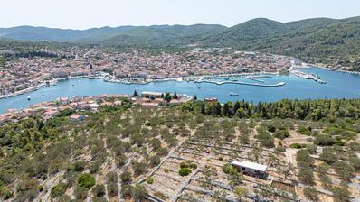 Otok Korčula, Vela Luka, poljoprivredno zemljište na predjelu Vranac