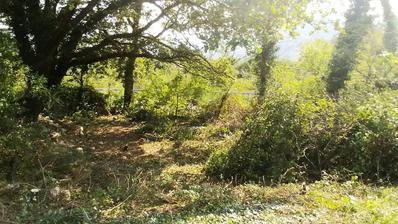 Bribir, građevinsko zemljište 2.930 m² u izgrađenom dijelu naselja