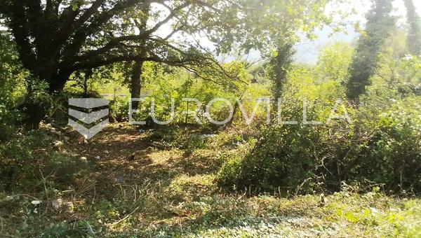 Bribir'de, yerleşim yerinin gelişmiş kısmında yer alan 2.930 m² büyüklüğünde imarlı arsa.