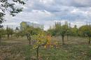 Slavonski Brod, Poslovna zgrada Sjeverna vezna cesta - 23