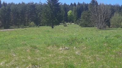 Saborsko, stavební pozemek o rozloze 16 403 m², pouhý 1 km od Plitvických jezer