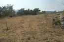 Sestanovac, Zezevica, rakennusmaa, jonka pinta-ala on 4 737 m² - 2