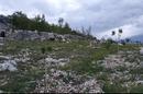 Sestanovac, Zezevica, rakennusmaa, jonka pinta-ala on 4 737 m² - 5