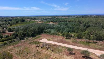 Istra, Brtonigla, Građevinsko zemljište 691 m², idealno za luksuznu vilu s bazenom
