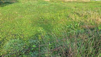 Karlovac, Dreznik, stavební pozemek 1000 m2, klidná lokalita