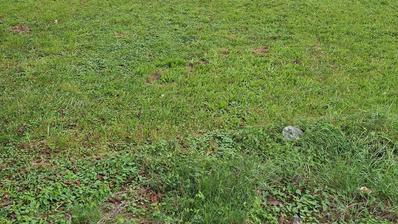 Karlovac, Banija, stavební pozemek 1432 m2, komerční využití