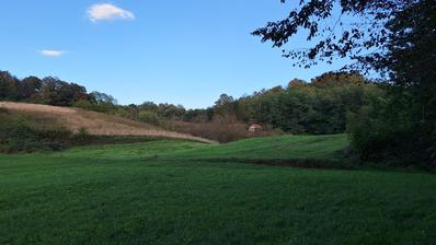 Duga Resa, Mreznicki Brig, stavební pozemek 1694 m2, obklopený zelení.