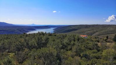 Istra, Puntera, Građevinsko zemljište 1049 m² s otvorenim pogledom na more