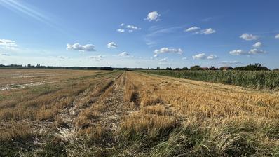 Ivankovo, građevinsko zemljište 2.532 m² + oranica 2.550 m²
