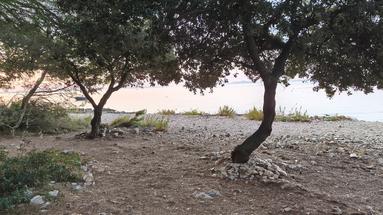 Vir, Pedinka, Parcela frente al mar 647 m²