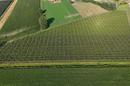 Darda, investment opportunity, operational apple orchard with building land, 16.3 ha - 2