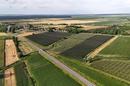 Darda, investment opportunity, operational apple orchard with building land, 16.3 ha - 3
