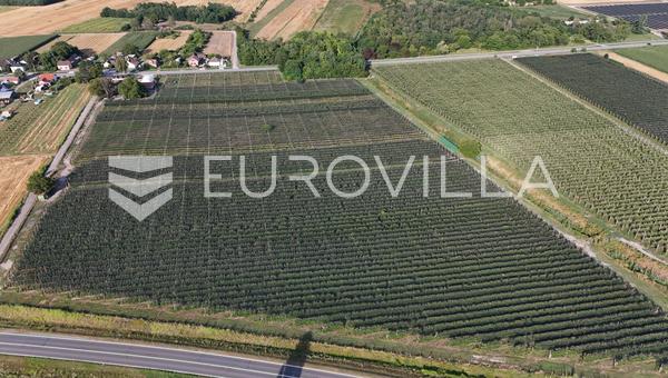 Darda, investment opportunity, operational apple orchard with building land, 16.3 ha