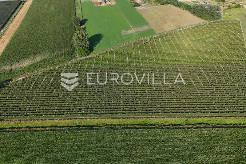 Darda, investment opportunity, operational apple orchard with building land, 16.3 ha - 2