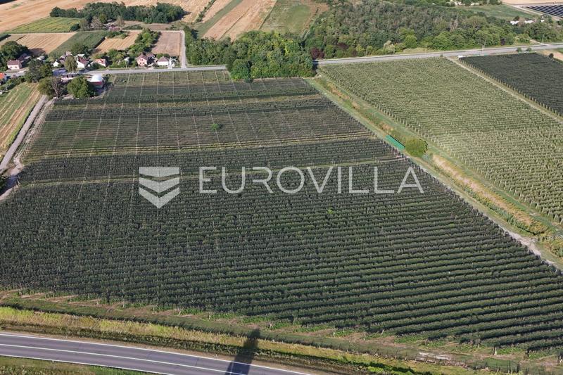 Darda, investment opportunity, operational apple orchard with building land, 16.3 ha - 4