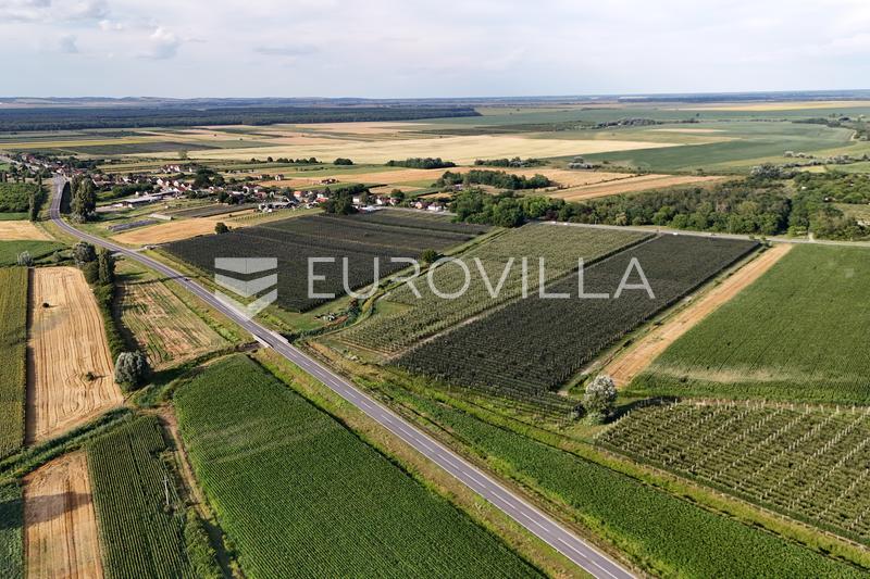 Darda, investment opportunity, operational apple orchard with building land, 16.3 ha - 3