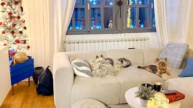 Netretic, Mracin, dům 200 m², 100 m k řece Dobra, obklopen zelení