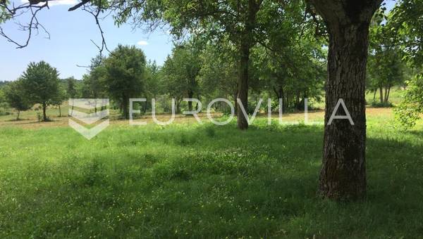 Poreč, large building land NKP 8289 m2, several building plots of regular shapeStudio apartment