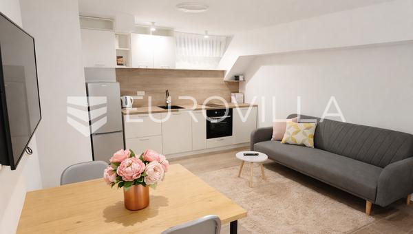 Zagreb, TREŠNJEVKA, višenamjenski prostor uređen za stanovanje, 28 m²