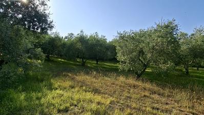 Pašman, Ždrelac, land in an attractive location
