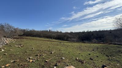 Istra, Poreč okolica - građevinsko zemljište 1033 m2 na rubu urbanizacije okruženo zelenilom