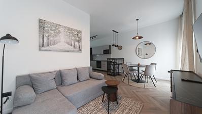 Eszék, Dél 2 - kiadó egy újonnan felújított egyszobás lakás parkolóhellyel, 41 m²