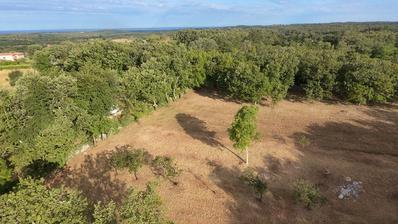 Istra, Tinjan, Građevinsko zemljište NKP 3623 m2