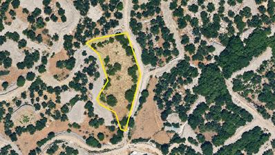 Krk, Staden Krk, jordbruksmark på 1 960 m² med olivträd
