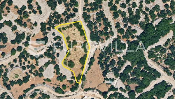Krk, Ville de Krk, terrain agricole de 1 960 m² avec des oliviers