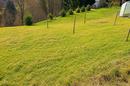 Ravna Gora, Stari Laz, stavební pozemek, 518 m² - 1