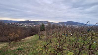 Duga Resa, građevinsko zemljište 1936 m² s drvenim objektom, prekrasan pogled