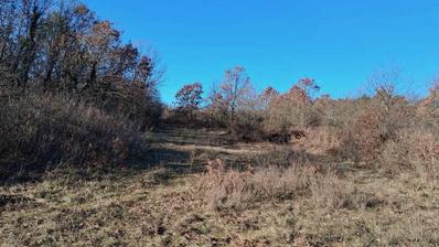 Istra, Barban, atraktivno poljoprivredno zemljište 4 729 m².