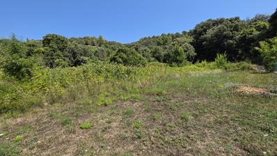 Rab - Kampor - építési telek első sor a tengerhez, 1266 m²