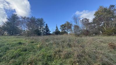 Istra, Heki, građevinsko zemljište 2000m2 u centru Istre