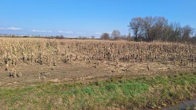 Karlovac, Drežnik, poljoprivredno zemljište 14200 m²