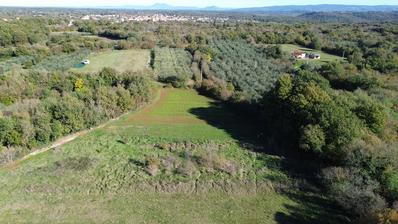 Istra, Marčana, poljoprivredno zemljište blizu centra Marčane