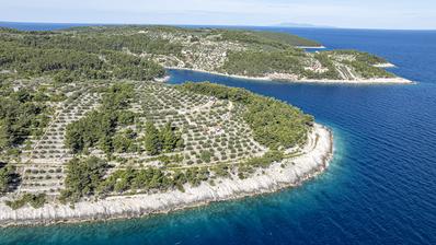 Otok Korčula, Vela Luka, poljoprivredno zemljište s maslinikom uz more