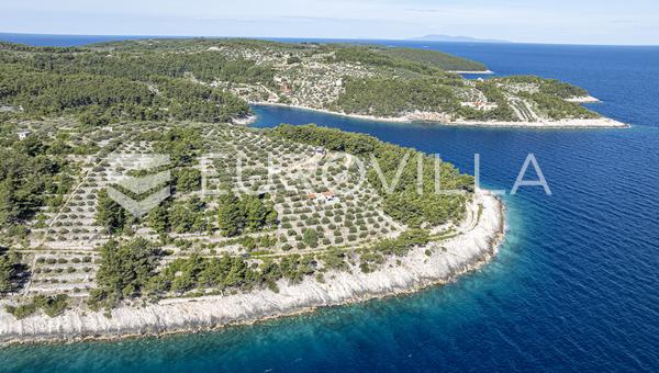 Otok Korčula, Vela Luka, poljoprivredno zemljište s maslinikom uz more