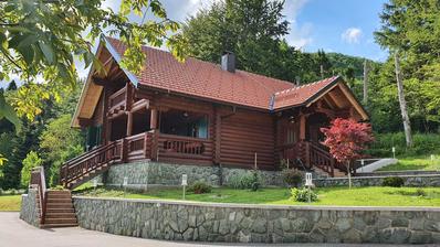 Ravna Gora, Hleveci, šarmantna drvena vila s velikom okućnicom