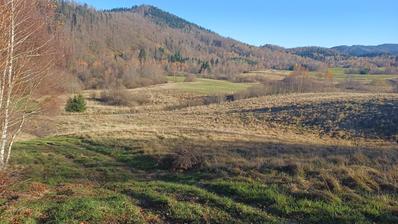 Gorski Kotar, Lokve, predivan građevinski teren 9228 m²