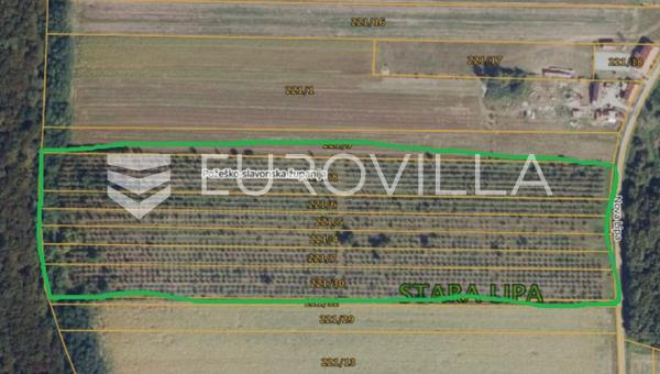 Požega, Stara Lipa, rymlig jordbruksmark 44 058 m²