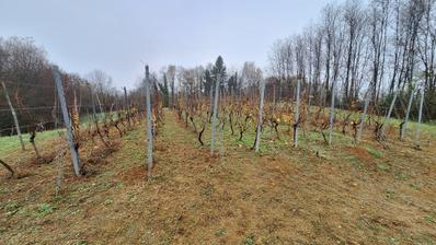 Duga Resa, Galović Selo, poljoprivredno zemljište 1400 m2 s vinogradom