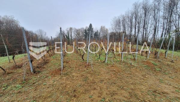 Дуга Реса, Галович Село, сельскохозяйственная земля 1400 м2 с виноградником