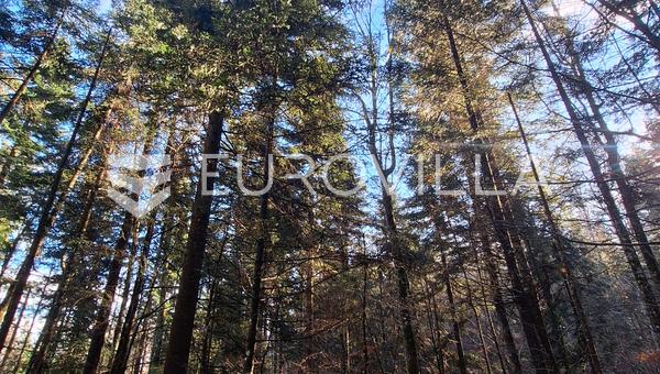 Vrbovsko, Lukovdol, tarım arazisi 31000 m², inşaat imkanı