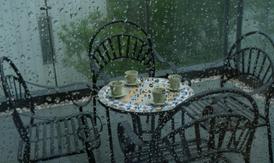 O que a primeira chuva de outono revela sobre uma propriedade que você pode perder no verão?