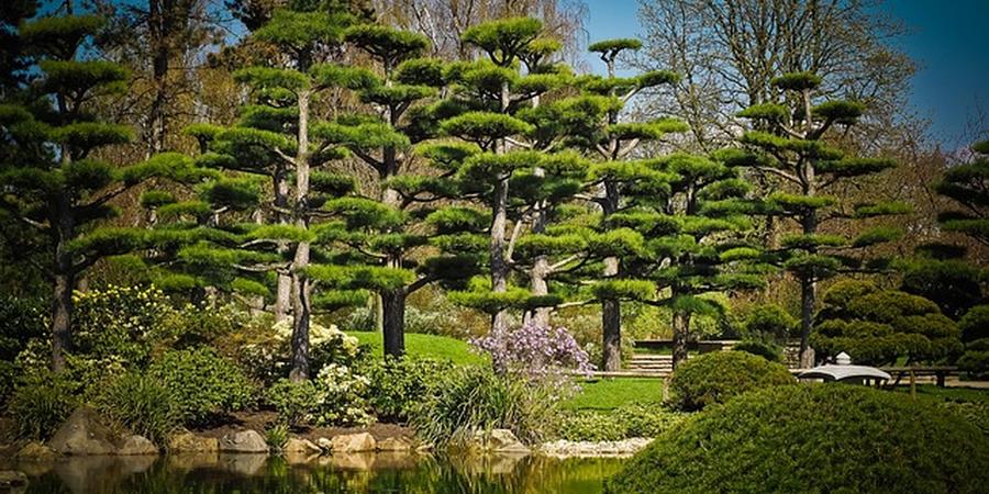 Hortikultura Zagi