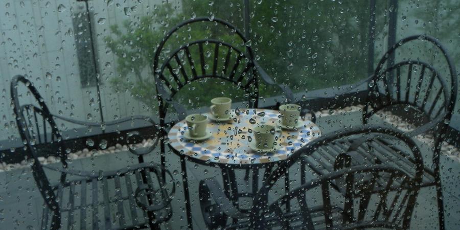 O que a primeira chuva de outono revela sobre uma propriedade que você pode perder no verão?